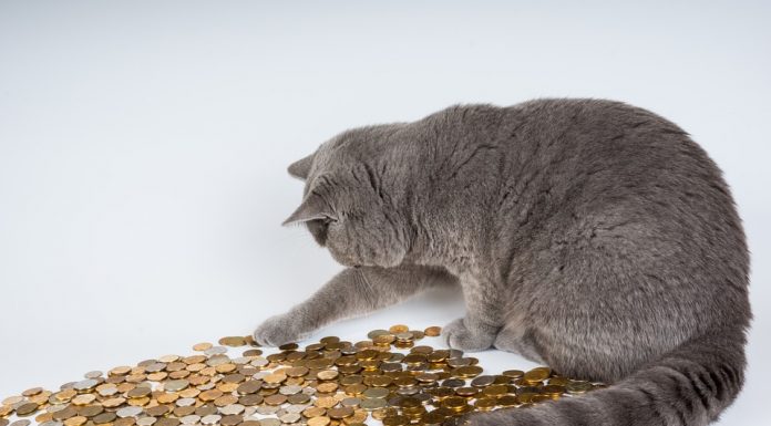 Automatisch sparen voor korting