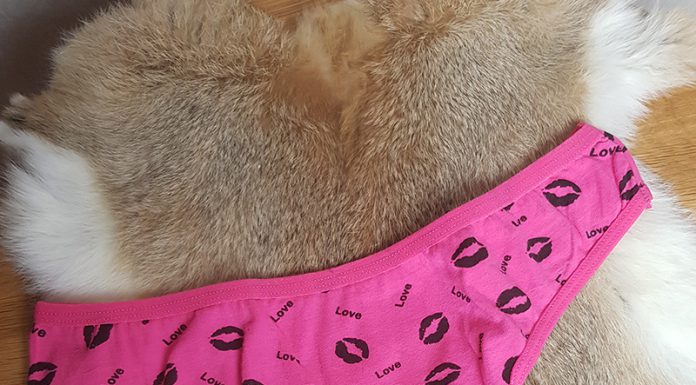 Veel nieuwe (oude) gedragen slipjes geplaatst