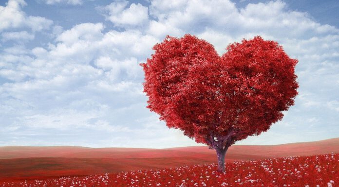 Een berichtje van mij